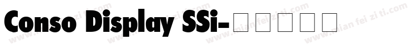 Conso Display SSi字体转换